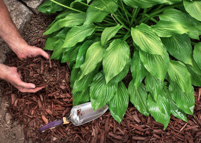 Brown Mulch Delivery